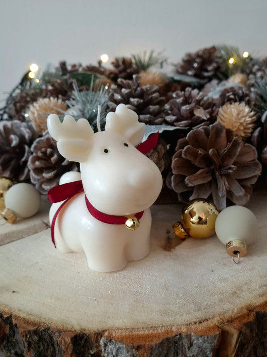 'Rudolph' christmas kaars